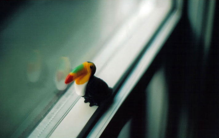 Lonely Bird