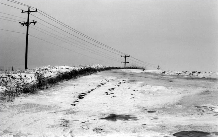 Snowy field in Orono, Ontario, Canada