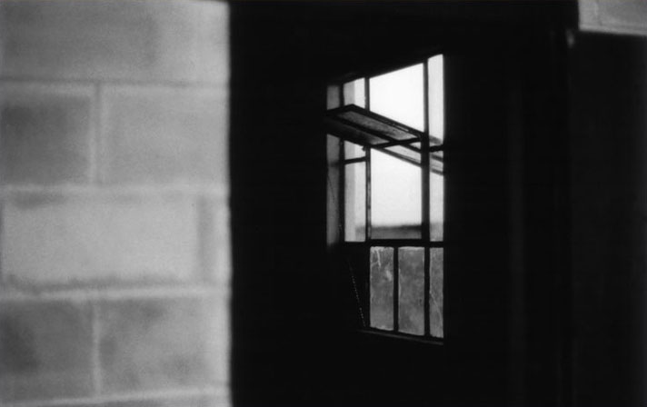 Window